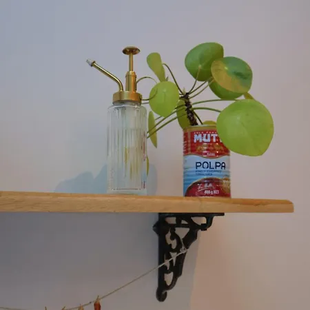 7 Guldrey Terrace 세드버그