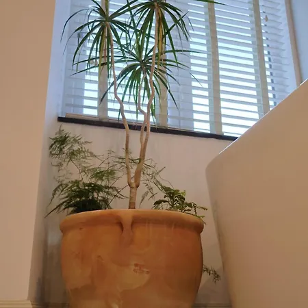 7 Guldrey Terrace *